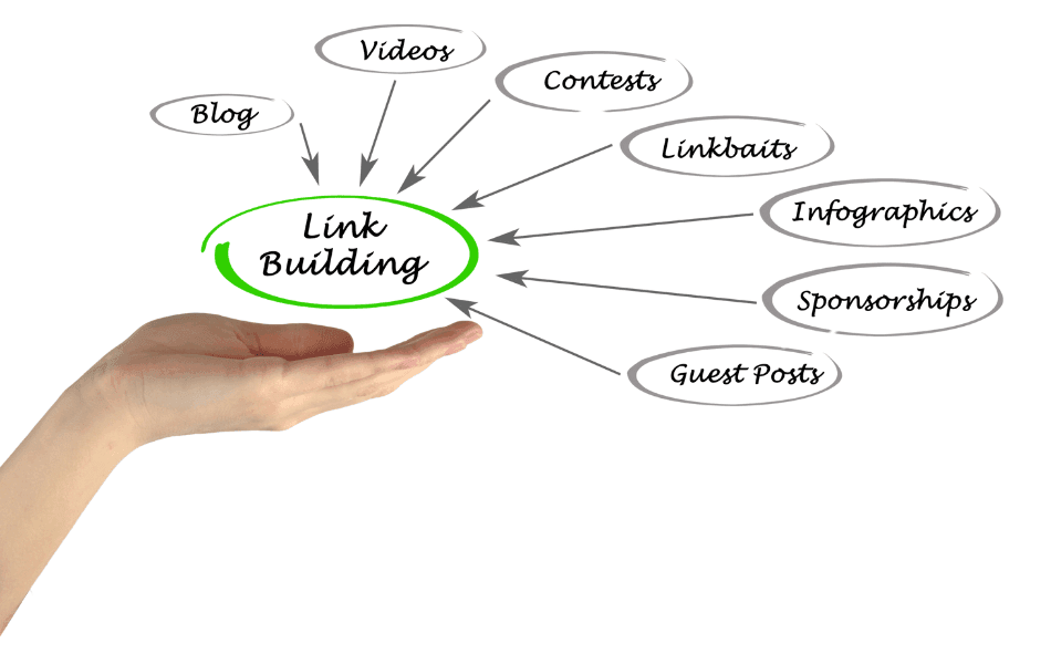 Internal and External Linking